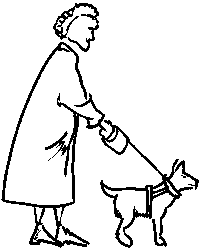 foto 99B.gif (3744 bytes)