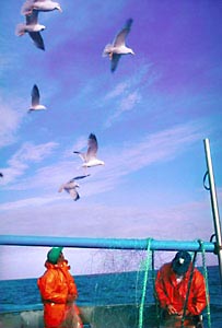 Pescadores