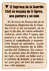 El Seprona de la Guardia Civil se incauta de 5 tigres, una pantera y un le�n.