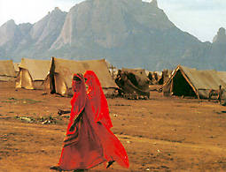 El pueblo saharaui sobrevive desde hace 25 años en los campamentos de refugiados de TINDUF (desierto argelino), gracias a la ayuda humanitaria.