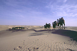 "Cruzar un desierto es una experiencia extrema: no paras de andar en todo el da, hay tormentas de arena, pasas de -14 a 40 en muy poco tiempo..."