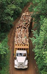 "No hay inters por ninguna de las partes en llegar a un acuerdo importante en el tema de la deforestacin."