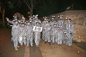 Carnavales 2008, en Castilla y León