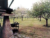 Villaviciosa. Horreo