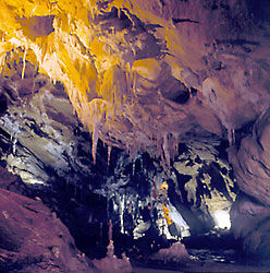 Cueva de Tito Bustillo.