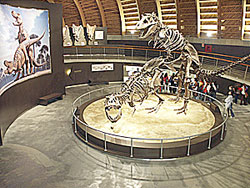 Reproducciones de dinosaurios en el Museo Jursico