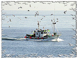 La mina y el mar