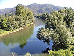 Dos grandes ros son los responsables, en gran medida, de que el concejo de Pravia haya sido considerado como la "Huerta de Asturias". Se trata del Naln y su afluente, el Narcea.