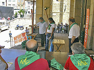 NAVA, CORAZON SIDRERO DE ASTURIAS