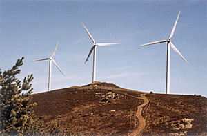 Energías renovables en el Medio Rural asturiano