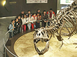 Museo del Jur�sico