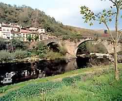 PUENTE DE ARCO Y RIO NALON