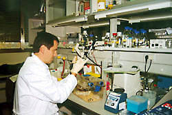 CENTRO DE INVESTIGACION DEL CANCER DE SALAMANCA