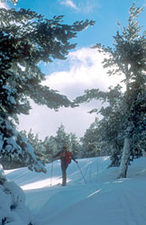 Sierra de Urbi�n