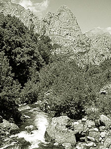 Río Cares a su paso por Caín (León)