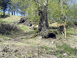 Rutas tur�sticas por Ponferrada