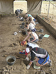 Yacimiento arqueológico de Pintia