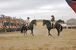 Feria del Caballo Pura Raza Espa�ola
