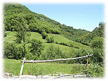 Valle do Seo. Barjas