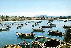 Nigr�n desde el puerto pesquero