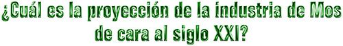 �Cu�l es la proyecci�n de la industria de Mos de cara al siglo XXI?