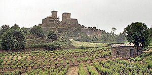 DENOMINACION DE ORIGEN MONTERREI 