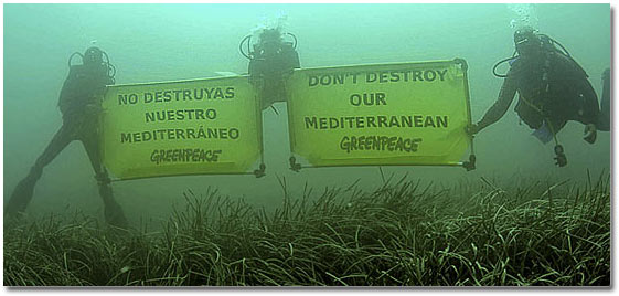 Copyright: Greenpeace/Grace. Activistas de Greenpeace despliegan pancartas en una zona de alto valor ecológico que podría ser destruido con la ampliación del puerto de Valencia.