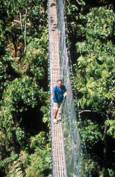 Los isleos de Savai (Samoa) tendieron un puente colgante para ver desde la copa de un rbol el ltimo atardecer del pasado milenio.
