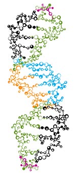 cadena de ADN