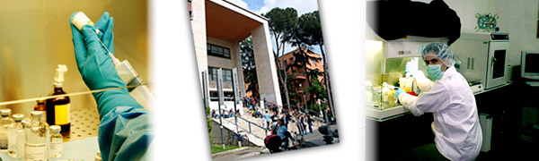 La Universidad española en cifras
